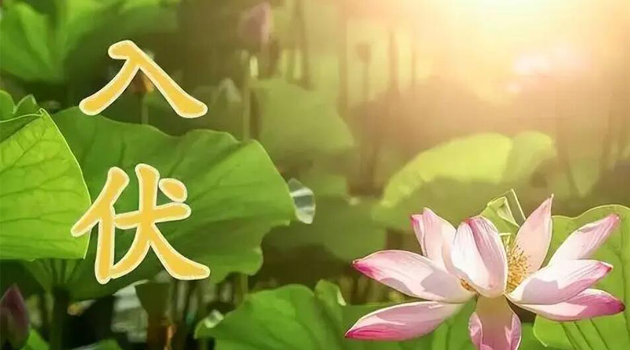 入伏天來(lái)襲！金環(huán)電器提醒大家要注意的事項(xiàng)