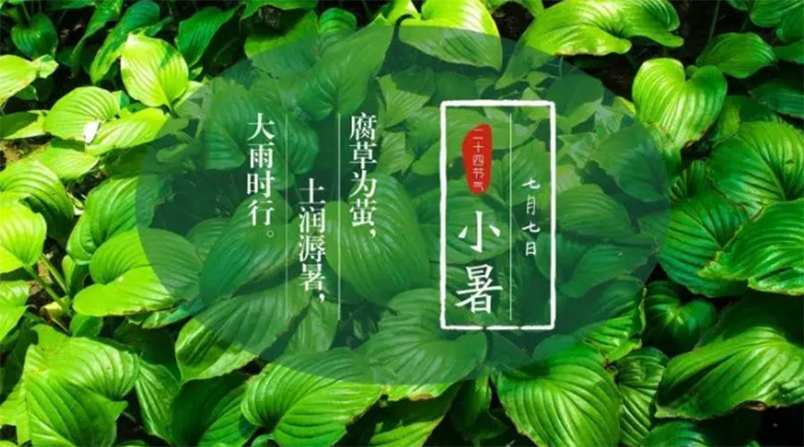 小暑時節(jié)來到！金環(huán)電器提醒大家要注意的事項