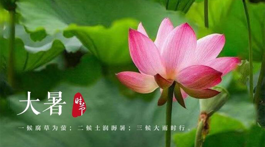 大暑時(shí)節(jié)！金環(huán)電器提醒大家要注意的事項(xiàng)